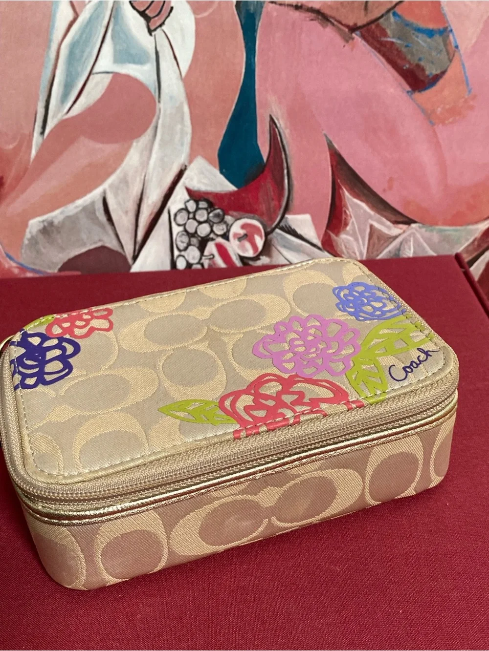 Vintage Coach Travel Jewelry Case Organizer w/ Floral & Y2K 